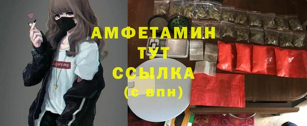 крисы Дмитровск