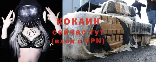 МДПВ Гусев