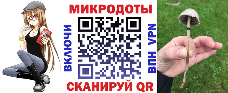 Купить где  Ковылкино  Псилоцибиновые грибы Psilocybe 