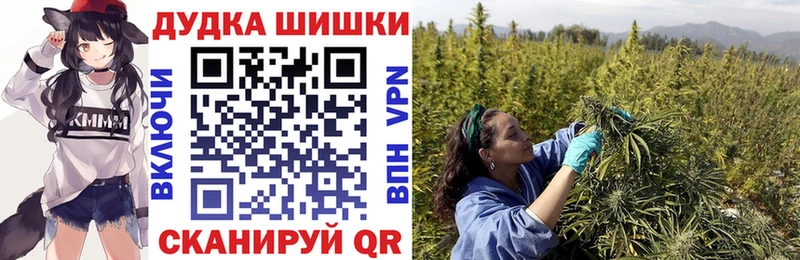 Конопля MAZAR  Купить закладки  Ковылкино 